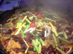 -老板恋上鱼(恒隆广场店)