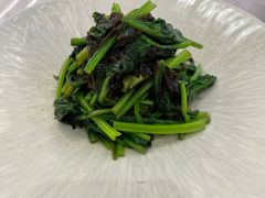 -喜鼎海胆水饺(平安金融中心店)