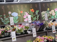 -鹿岛会员店(熙地港店)