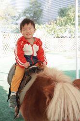 -萌宠亲子动物乐园(槐房万达店)