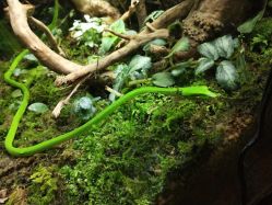 -酷嗒动物文化乐园(cutezoo西溪乐天城店)