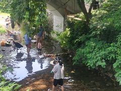-随意茶庄·地道杭帮农家菜(梅家坞店)