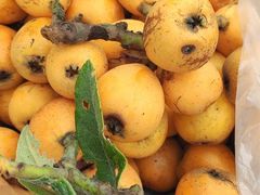 -塘栖枇杷特色园区