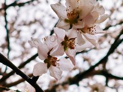 -红星美凯龙(东北全球家居1号店)