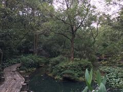 -杭州半山国家森林公园