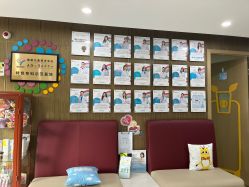 -睿宝儿科·眼科·口腔(杨浦新江湾城店)