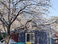 -山东大学(趵突泉校区)