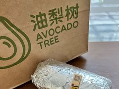 -油梨树AVOCADO TREE(望京店)