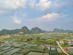 -会仙湿地