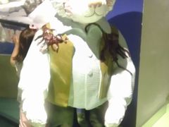 -成都泰迪熊博物馆