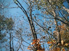 -嵩山少林文化旅游景区