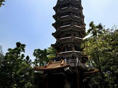 -深圳仙湖植物园