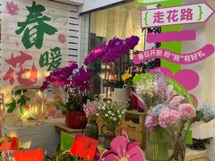 -溪岸路花鸟市场