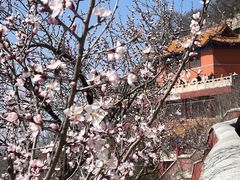 -天津盘山风景名胜区