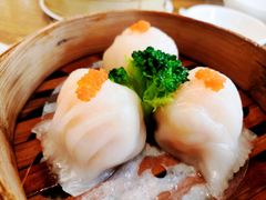 虾饺-喜粤糖朝餐厅(三八广场店)