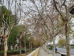 -上海浦东星河湾酒店
