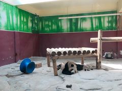 -杭州野生动物世界