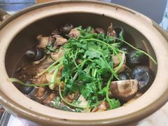 -食爺炭炉鸡煲·烧烤