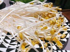 豆芽-蜀九香火锅(九眼桥店)