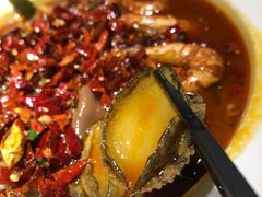 -尚一汤·粤菜海鲜(环球港店)