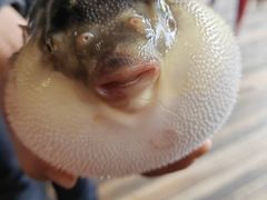 -永安鱼庄·镇江菜(丁卯店)