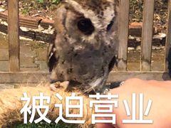 -清迈夜间动物园