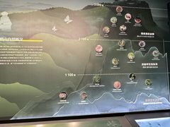 -四川大学博物馆