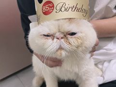 -85度C(苏州石路店)