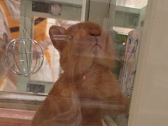 -龙猫仔乐园(惠福东路店)