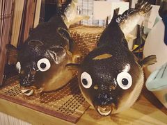 -玄品河豚(那覇國際通里之関)