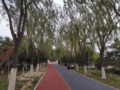-大兴滨河森林公园