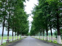 -嘉北郊野公园