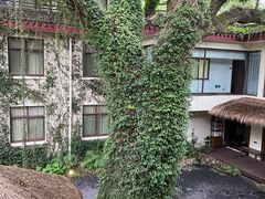-普陀山雷迪森庄园