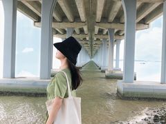 -宝安西湾红树林湿地公园