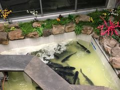-春盛渔府(牛首山店)