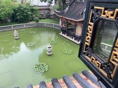-碧江金楼