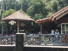 -海南槟榔谷黎苗文化旅游区
