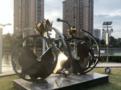 -陈家山荷花公园