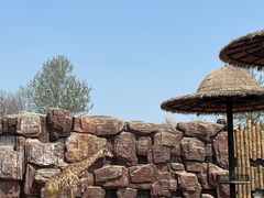 -济南野生动物世界