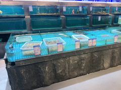 -梦都海鲜酒家(万达广场江桥店)