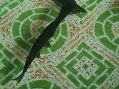 -农家小院土菜馆(斩坑桥店)