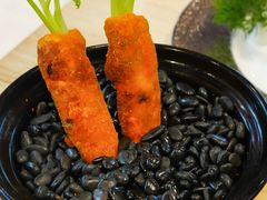 -丁老爷子苏香圆