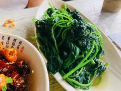 清炒苕尖-小民大排档(光谷店)