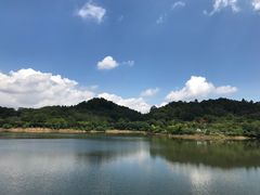 -番禺大夫山森林公园