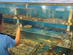 -仙螺岛海鲜自助餐厅(总店)