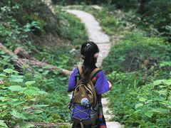 -素山寺森林公园