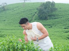 -帐篷客·溪龙茶谷度假酒店