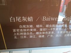 -郭守敬纪念馆