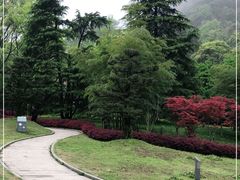 -缙云山景区
