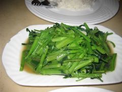 泰式空心菜-荷花泰菜(东方新天地店)